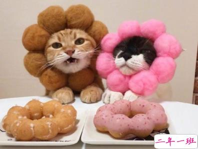 一些可爱有趣的自动回复文案  回复技能冷却中1