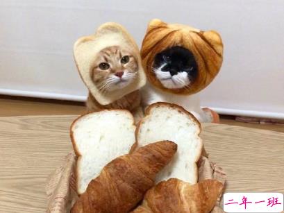 一些可爱有趣的自动回复文案  回复技能冷却中2