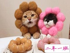 一些可爱有趣的自动回复文案  回复技能冷却中