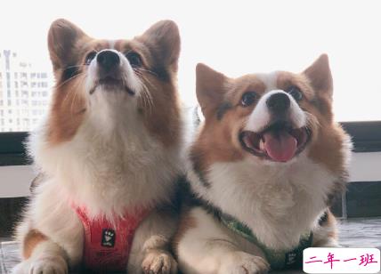 减肥励志搞笑文案 收藏一下吓吓脂肪1