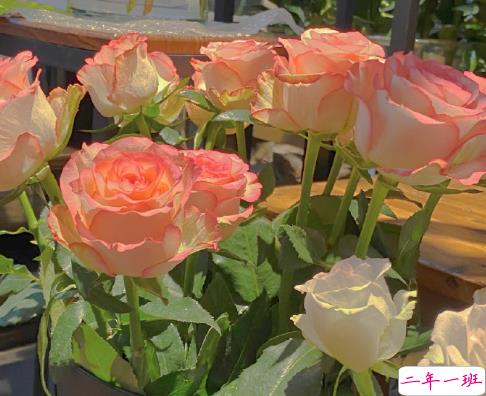 格调很高适合挂在微信状态上的文案 超有创意的微信状态句子2