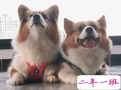 减肥励志搞笑文案 收藏一下吓吓脂肪