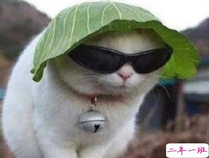 可盐可甜的朋友圈文案 听说女孩子说叠字很可爱1