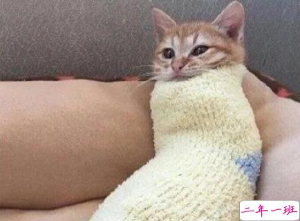 可盐可甜的朋友圈文案 听说女孩子说叠字很可爱2