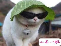 可盐可甜的朋友圈文案 听说女孩子说叠字很可爱