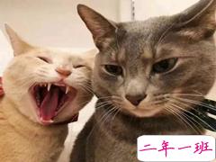 有趣又让人开心的句子 仙女下凡不提早说一声迈