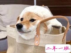 皮到爆炸的搞笑句子朋友圈 现在的心情就是去了皮的大土豆