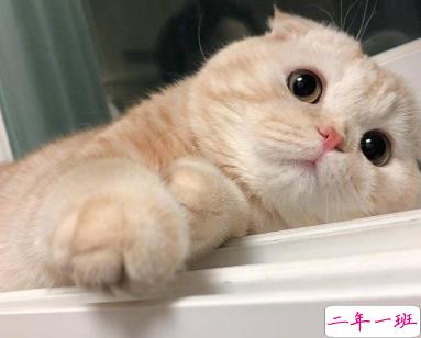 2020愚人节幽默短句 适合愚人节的搞笑幽默文案1