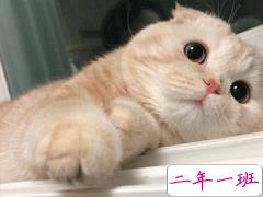 2020愚人节幽默短句 适合愚人节的搞笑幽默文案