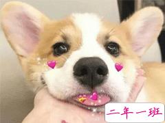 笑到停不下来的沙雕句子 2020最火沙雕说说合集