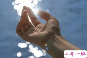 总结2020年精辟暖心语录 很阳光温暖的语录