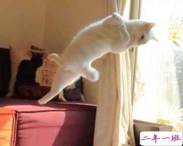 抖音流行的句子搞笑简短 沙雕又搞笑的短句2