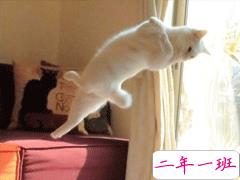 抖音流行的句子搞笑简短 沙雕又搞笑的短句