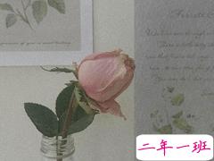 30岁女人微信置顶句子 让自己努力变优秀的句子