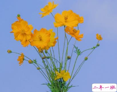 适合做书签的随手记录的小句子 风上是闪烁的星群1