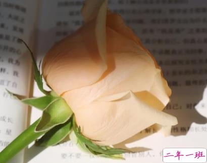 适合做书签的随手记录的小句子 风上是闪烁的星群2