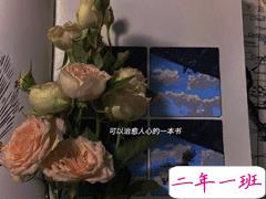 无关爱情让人心动的贴心温柔文案 感同身受从来不适合聆听者