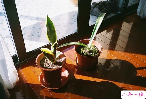 搞笑句子合集能笑死人的那种 2019朋友圈最吸引人的有趣句子2