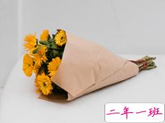 那些闪闪发光的经典语录 那盏灯会亮起