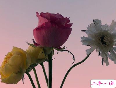 最搞笑的早安心语大全 微信早安搞笑短句精选2