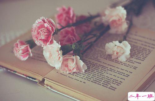 生活很丧的经典句子大全2018 一些很丧很绝望的句子短一点2