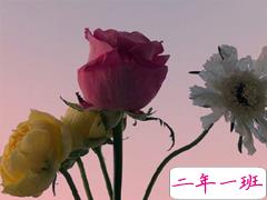 最搞笑的早安心语大全 微信早安搞笑短句精选