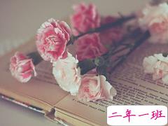 生活很丧的经典句子大全2018 一些很丧很绝望的句子短一点