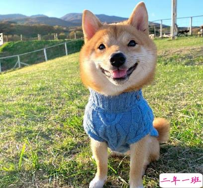 2021生活小细节很现实的说说 不要被生活细节打败的句子1