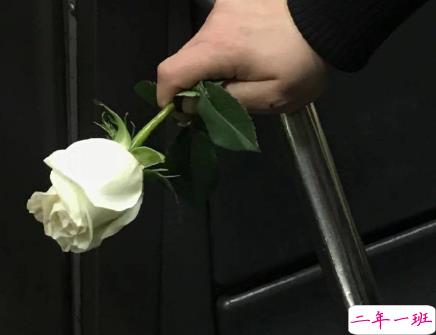  最高级的早安问候气质文案 暖心且正能量文案2