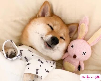 2021生活小细节很现实的说说 不要被生活细节打败的句子2