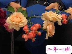 最高级的早安问候气质文案 暖心且正能量文案