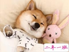 2021生活小细节很现实的说说 不要被生活细节打败的句子