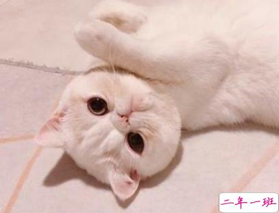 非常有意思搞笑的微信说说 专治不开心的句子1