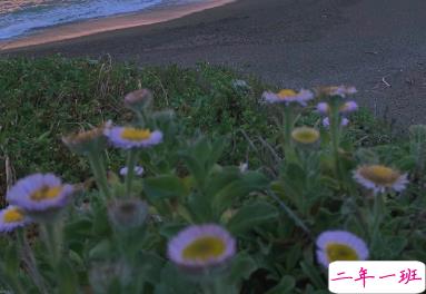 生活中教你识人的文案  让你受益的经典语录1