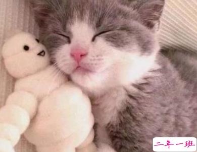 非常有意思搞笑的微信说说 专治不开心的句子2