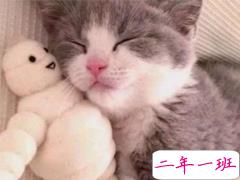 非常有意思搞笑的微信说说 专治不开心的句子