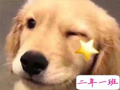 qq扩列说说搞笑一点的 十分沙雕搞人的扩列说说