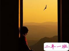 一定要收藏的宝藏句子 飞鸟与鱼不同路