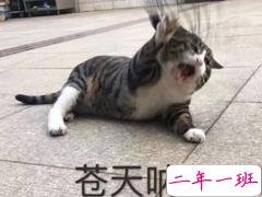 2018搞笑句子越短越好精选 简短的搞笑句子一句话笑死人