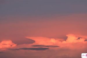 早安充满正能量励志语录 抓住今天它不再回来