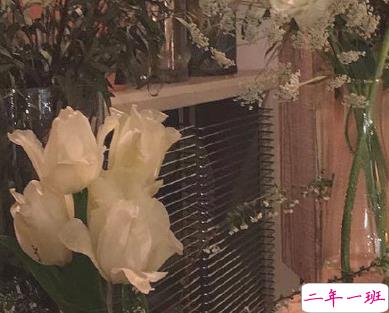 改掉坏毛病有道理的句子 圈子不同不必强融2