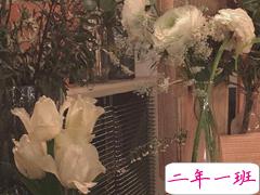 改掉坏毛病有道理的句子 圈子不同不必强融