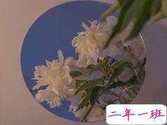 2020期末考试加油的励志句子 期末开始备考激励的话