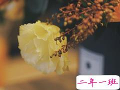 有哲理又很心酸的句子 笑着讲述那些曾让你哭的瞬间