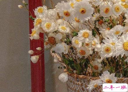 早安短句经典大全 早安说说简单一句话1