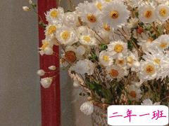 早安短句经典大全 早安说说简单一句话