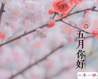 2020迎接五月的心情短语 五月治愈系经典语录2