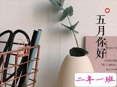 2020迎接五月的心情短语 五月治愈系经典语录