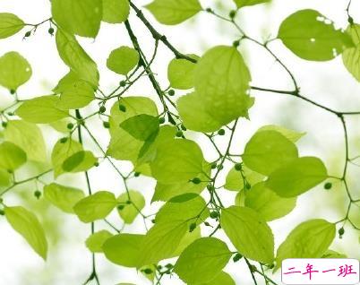 经典语录简短一句话 致自己的经典短句1