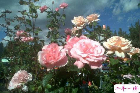 2021一月再见二月你好唯美励志说说 告别一月迎接二月的唯美励志说说1